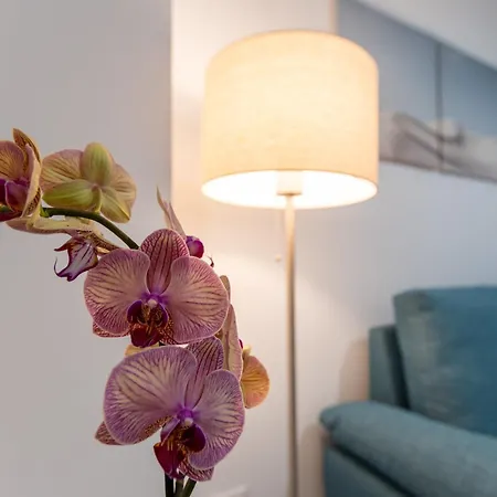 Camifa Canteras Paradise Las Palmas de Gran Canaria