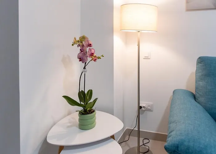 Camifa Canteras Paradise 公寓 *