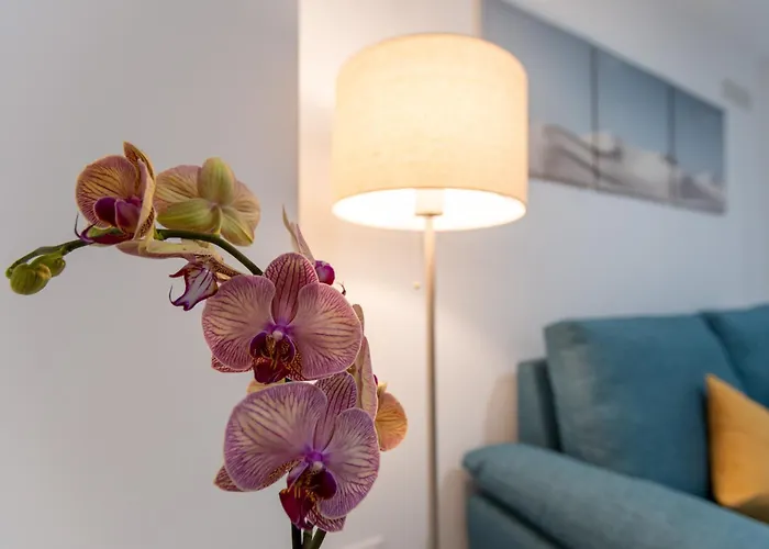 Camifa Canteras Paradise 大加那利岛拉斯帕尔马斯